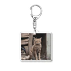 TAIYO 猫好きの綺麗な座り姿の猫 Acrylic Key Chain