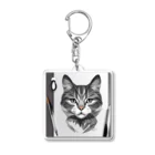 teru8376のイラスト　猫 Acrylic Key Chain