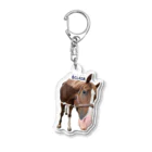 元競走馬のエクレールのエクレールのステッカー Acrylic Key Chain