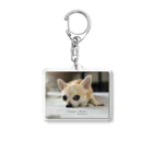 犬執事・ドッグバトラーのバンビ君ショップの世界初！本物の犬執事・ドッグバトラーのバンビ君 Acrylic Key Chain