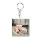 otorasannomiseのトラさんゴロリ写真グッズ Acrylic Key Chain