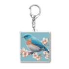 ❤︎cute❤︎のbeautiful blue bird Acrylic Key Chain