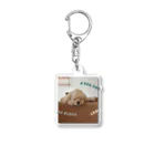 CHAIのCHAI Acrylic Key Chain