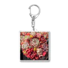 Echeveria_Masterの華やかなエケベリア Acrylic Key Chain