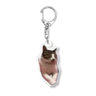 rhythm the catの眠る猫 Acrylic Key Chain