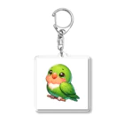 酉年による鳥好きのための鳥デザインの鮮やかなグリーンカラーのセキセイインコ アクリルキーホルダー