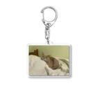 ねこかわたすかるのねこかわたすかる8 Acrylic Key Chain