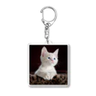 可愛い動物の猫 Acrylic Key Chain