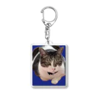 Quucocoのもふねこくうた君 Acrylic Key Chain