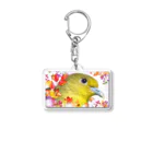 カラスのクッピのアオバトのフウワ Acrylic Key Chain