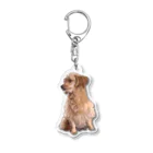 Ruice-Iceの犬　癒し3 Acrylic Key Chain