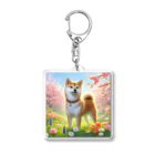 ANTARESの春の柴犬の冒険 Acrylic Key Chain