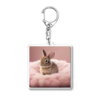 キャリーのふわふわのクッションで遊ぶウサギの赤ちゃん Acrylic Key Chain