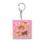 ワンこよみ時々ネコの守護ダックスフンド　guardian dachshunds Acrylic Key Chain