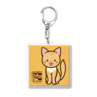 にこねこ【保護猫の保育園】のプリンちゃんキーホルダー Acrylic Key Chain