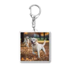 ラブラボの公園で他の犬と遊んでいるラブラドール・レトリーバー 白 犬 ワンちゃん 可愛い ペット 癒やし Acrylic Key Chain