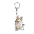 にゃんこ編集部オフィシャルショップのゆらゆらアクキー　めいちゃん Acrylic Key Chain