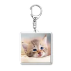 ks-staffの😺癒し猫シリーズ💖 Acrylic Key Chain