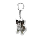 遥ん/犬顔絵　のチキンちゃん　キーホルダー Acrylic Key Chain