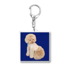 chiro2015のトイプードルのチロ君♂ Acrylic Key Chain