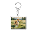 Animal Illustration shopの柴犬　Shiba Inu　水彩画風 Acrylic Key Chain