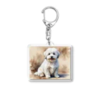 Animal Illustration shopのコトン・ド・テュレアール　Coton de Tulear　水彩画風 アクリルキーホルダー