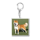 柴犬大好きマンのかわいい柴犬　赤毛 Acrylic Key Chain