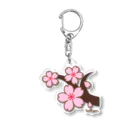 So湖いらの「誕生月花びわこ」4月さくらダイカットアクリルキーホルダー Acrylic Key Chain