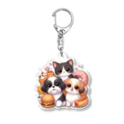 ワンコとにゃんちゃんズのシーズーちゃんと白黒にゃんこ！ Acrylic Key Chain