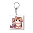 シマのかわいい子猫の兄弟 Acrylic Key Chain