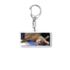 chibi_Lののびーるチビエル Acrylic Key Chain