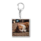 IKEDAYAの寝ている猫 Acrylic Key Chain
