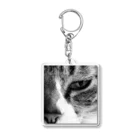 sisyの家ねこガン飛ばす。（アフター） Acrylic Key Chain