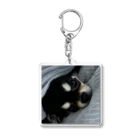 我が家の愛犬のぬくぬくモコ Acrylic Key Chain