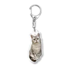 うちの猫ちゃんたちの数少ない美男子とらと Acrylic Key Chain