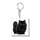 しょっぷトミィの黒猫 Acrylic Key Chain