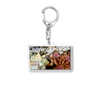 Apricot P2 SHOPのグラプト丼 Acrylic Key Chain