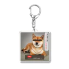 ぱんだまんの柴犬容疑者 Acrylic Key Chain