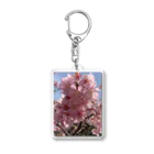 mizuiro-8556のさくら Acrylic Key Chain