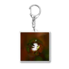 ハレとケのsoratama-fringed orchid Acrylic Key Chain