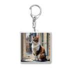 abahhyo1234の外を見る猫 Acrylic Key Chain