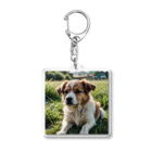 kokin0の草むらで斜めを見つめる犬 dog looking for the anywhere Acrylic Key Chain