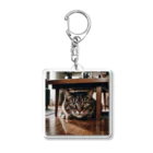 zigerparkの隠れる猫 Acrylic Key Chain