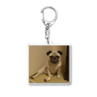 PaguparkのPugのぱぐお Acrylic Key Chain