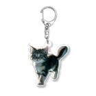 tunapotato-スズリ店-のMeow-velous【B】 Acrylic Key Chain