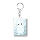 hiruneko369の神猫 Acrylic Key Chain