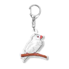 Lily bird（リリーバード）の水浴び文鳥 カラー Acrylic Key Chain