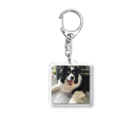 meeting pandaのボーダーコリー Acrylic Key Chain