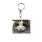 HURRY&GOのhrs-N1 Acrylic Key Chain