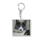 shindyのぶちこ Acrylic Key Chain